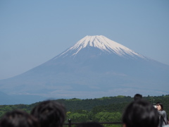 三島スカイウォーク