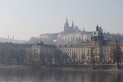 DSC05619