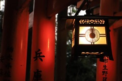 千本鳥居⛩