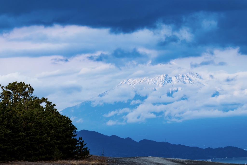 FUJI