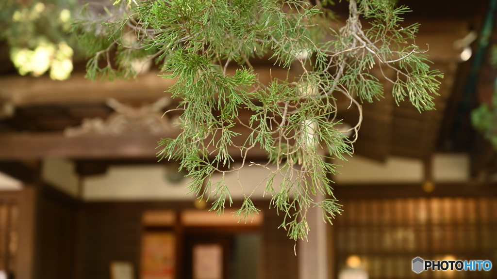 円覚寺