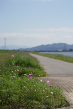 DSC01958