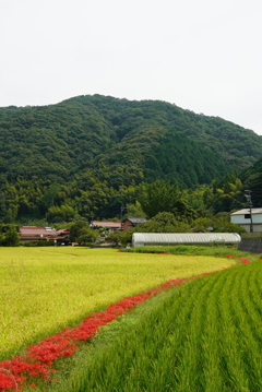 DSC01772