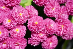 DSC02350