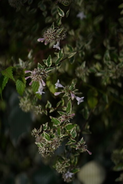 DSC01956