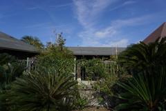 DSC02287