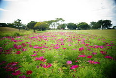 DSC02118