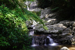DSC01761