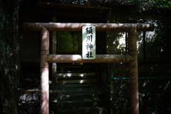 DSC01764