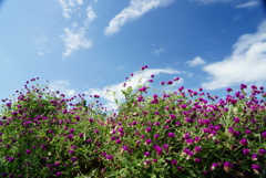 DSC02102