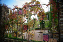DSC02186