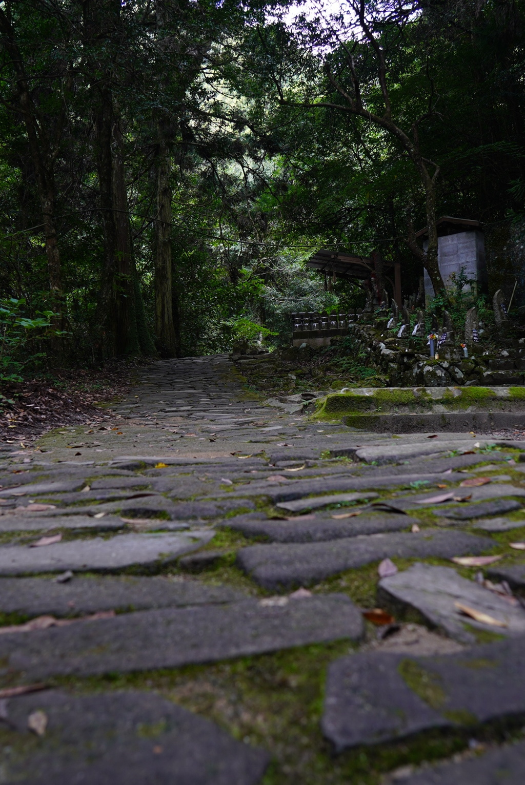 林道
