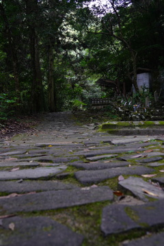 林道