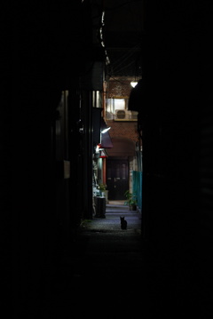 DSC01938