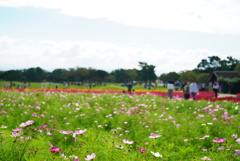 DSC02131