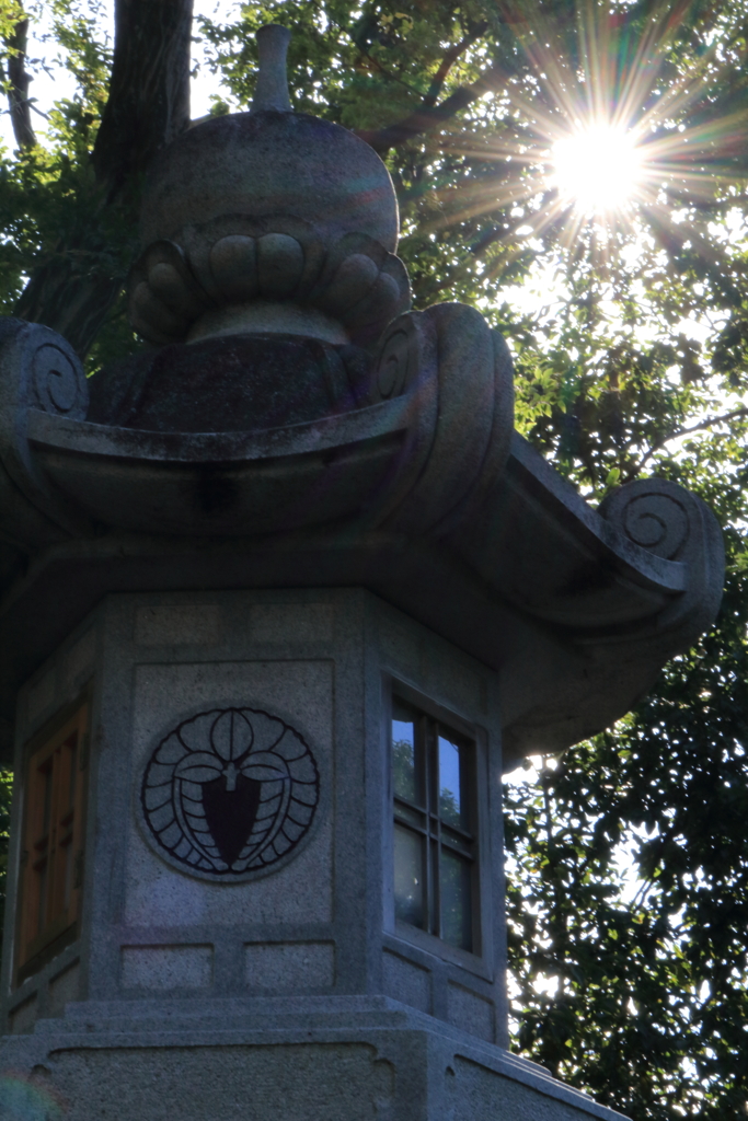 昼下がりの木陰の灯