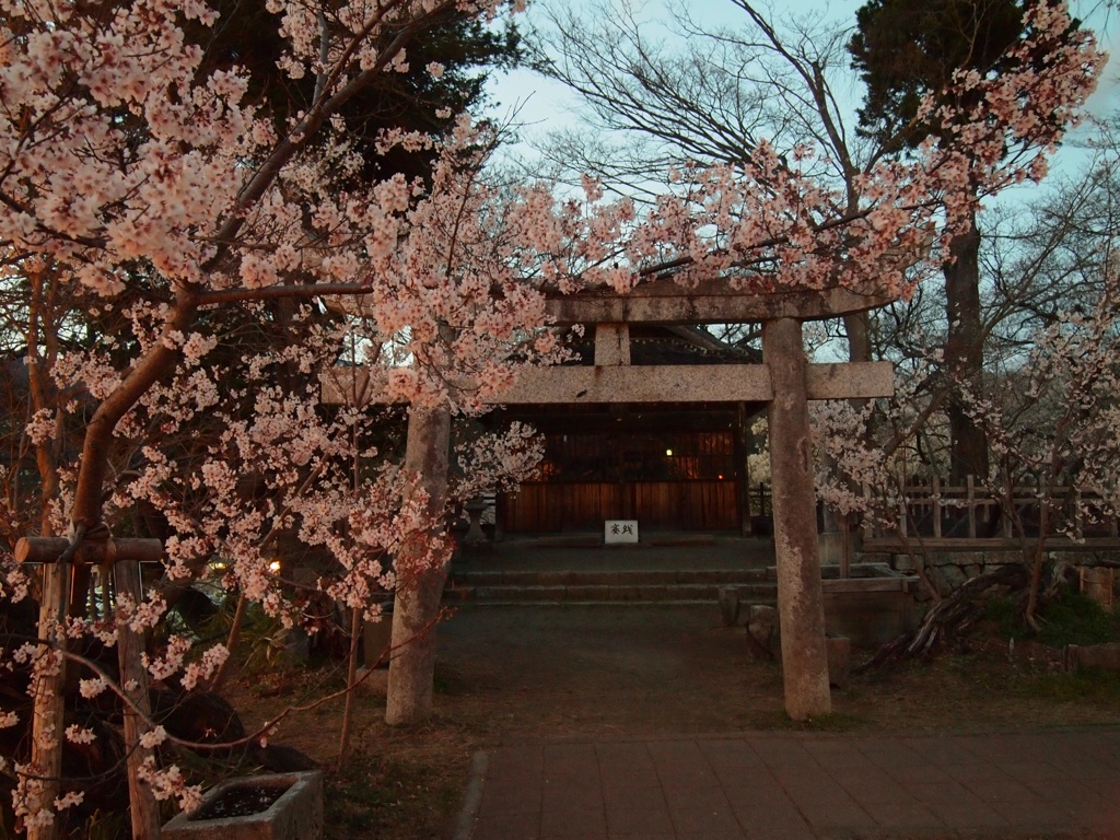 高遠城址公園