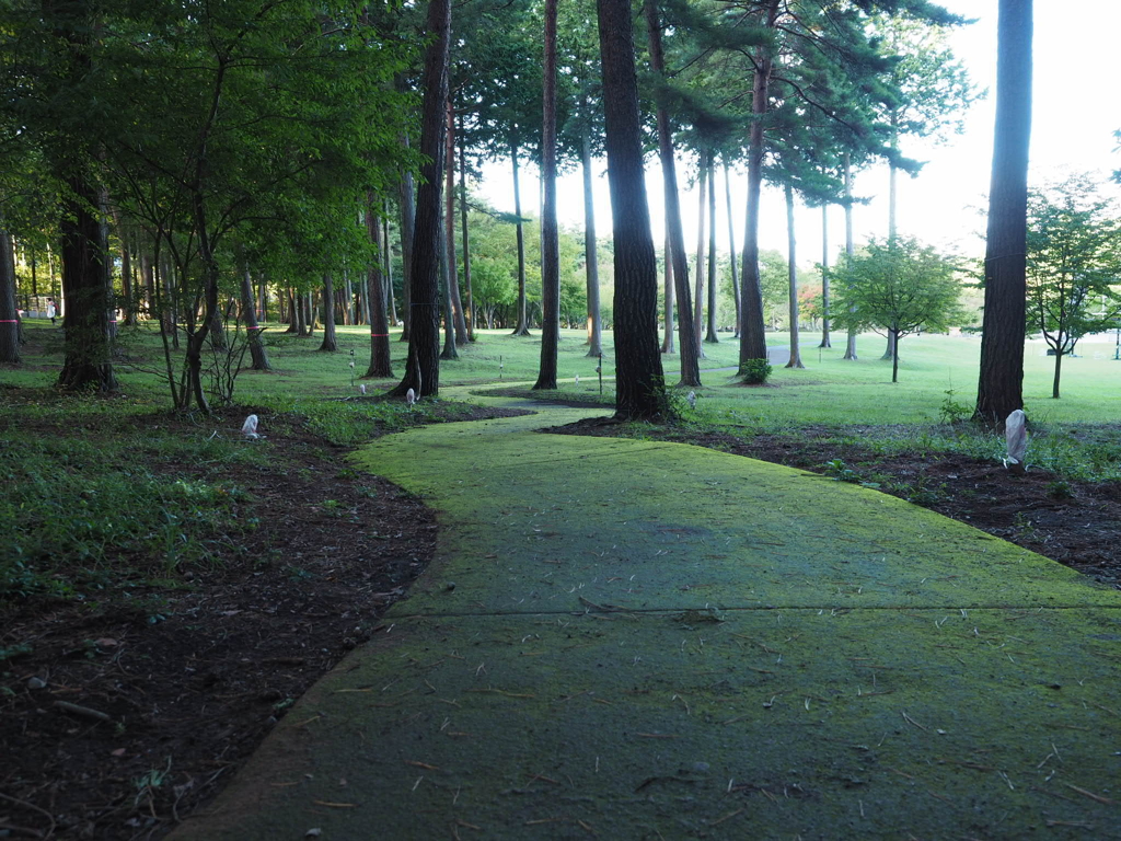 深緑 大芝公園