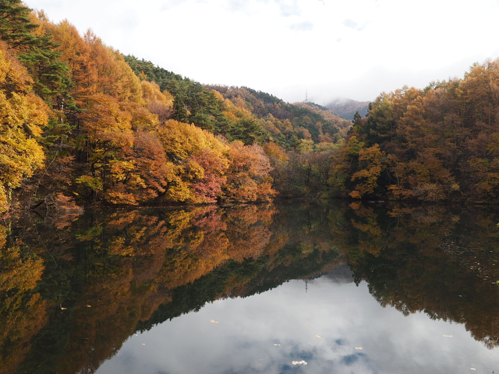 紅葉
