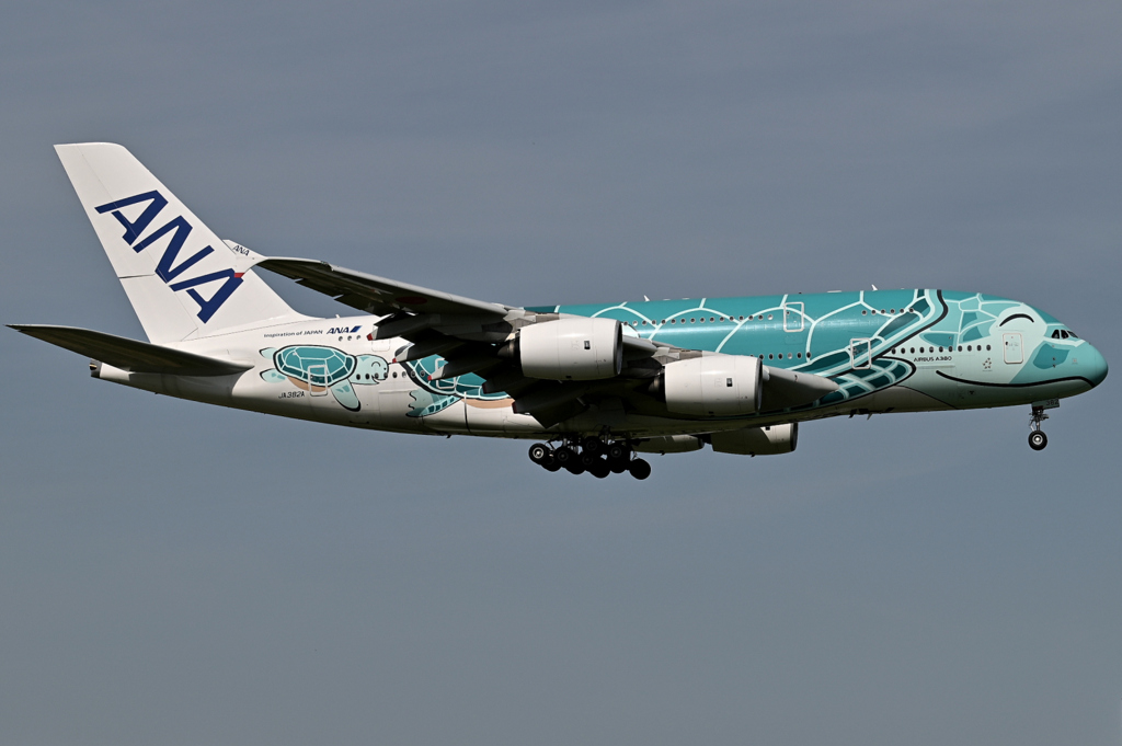 All Nippon Airways - Airbus A380-800