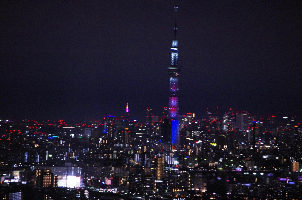 市川駅 夜景