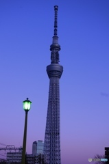 夕暮れの塔