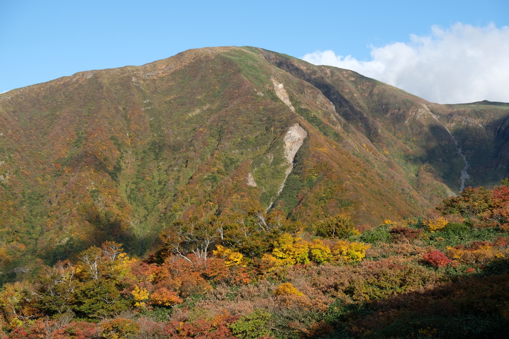 鉾立より稲倉岳