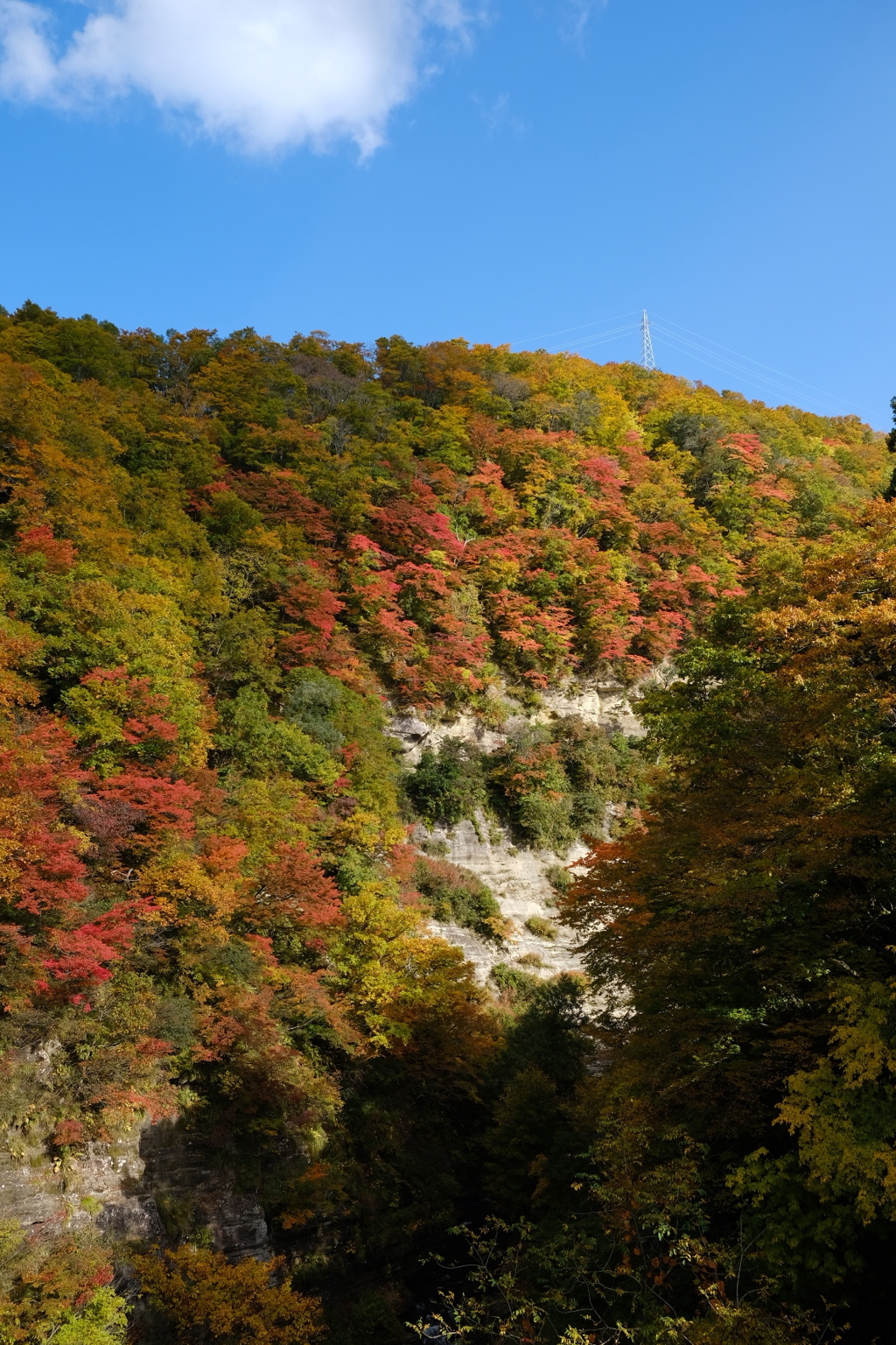 三途川渓谷2