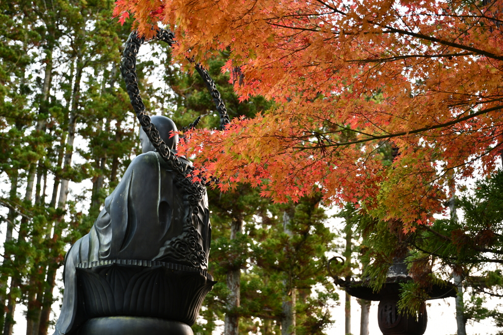後ろ姿と紅葉