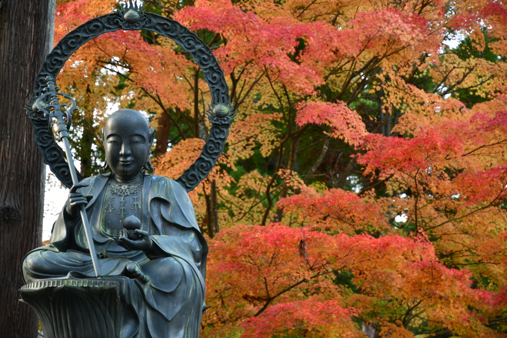 座禅と紅葉