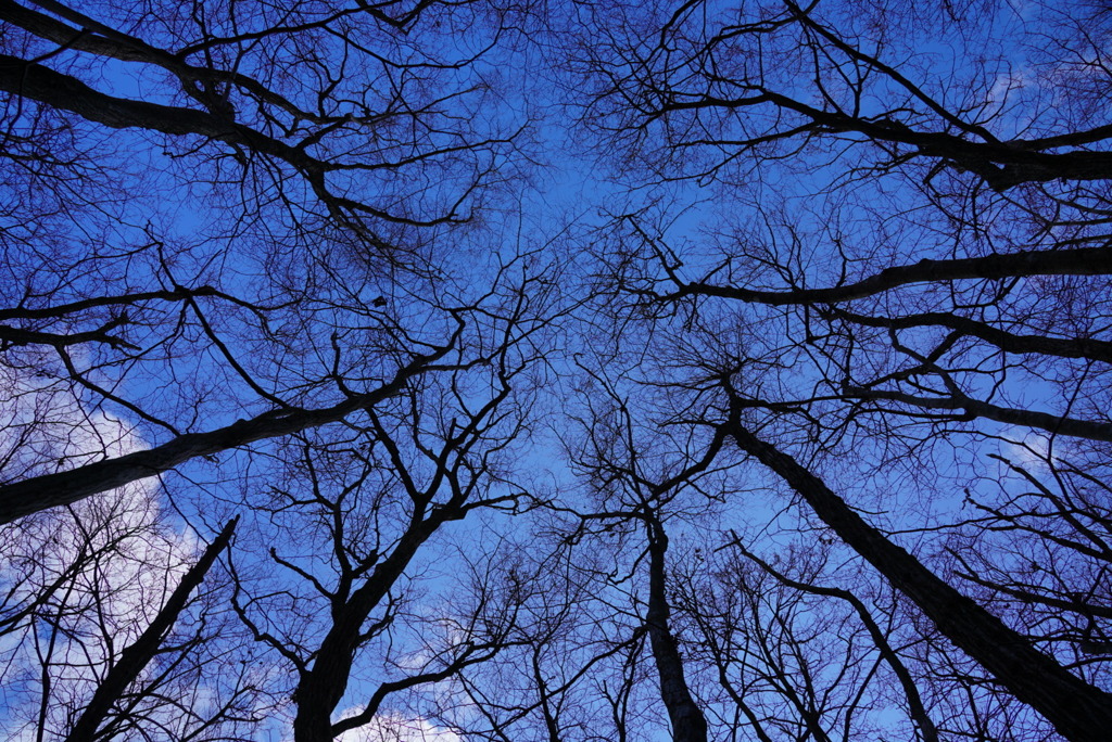 12月の空