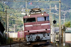 EＦ81716