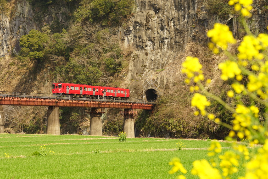春の訪れ　百枝鉄橋