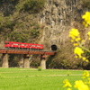 春の訪れ　百枝鉄橋