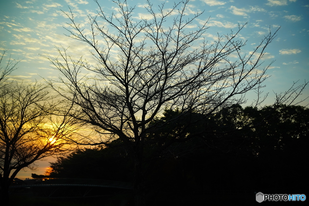 11月の朝