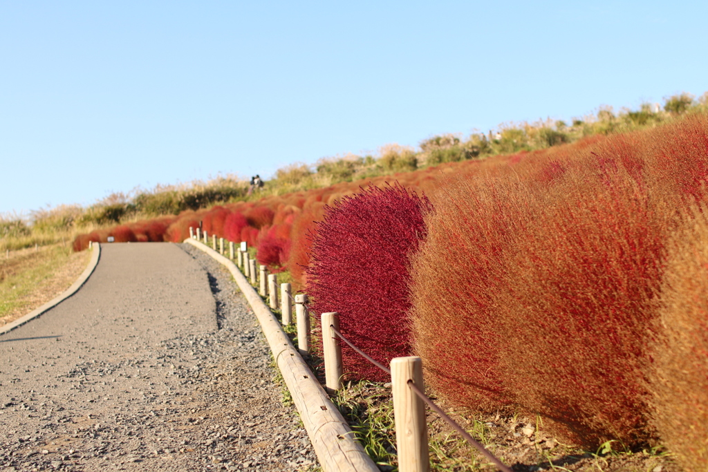 65DCABDE-8690-4381-8EAE-4B743E4AA7C0