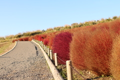 65DCABDE-8690-4381-8EAE-4B743E4AA7C0