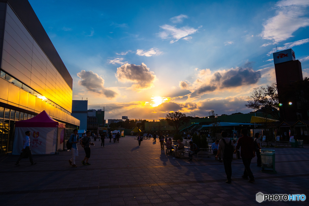 競馬場に差す夕日