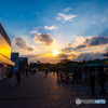 競馬場に差す夕日