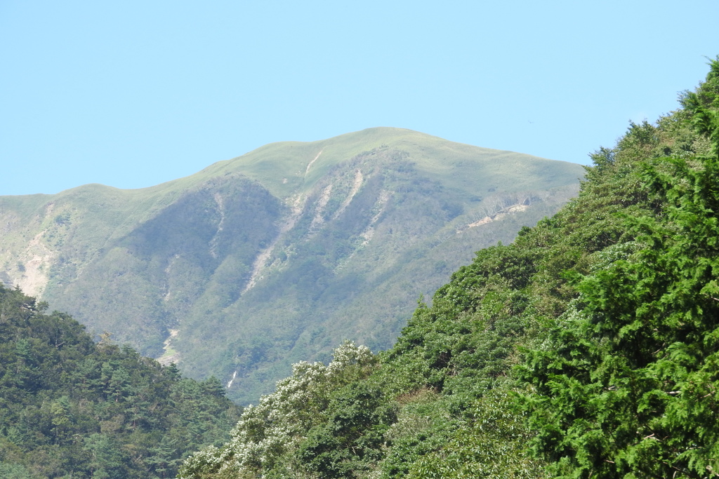 頂
