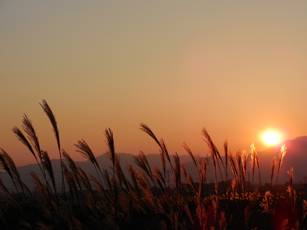 秋の夕暮れ