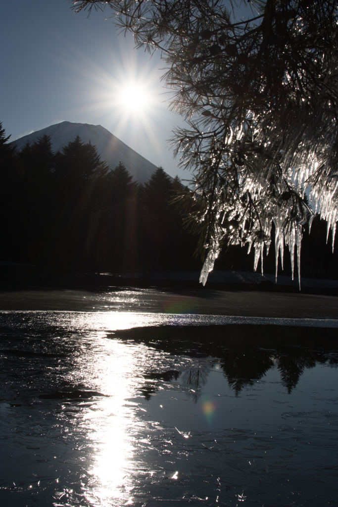 氷柱と富士山
