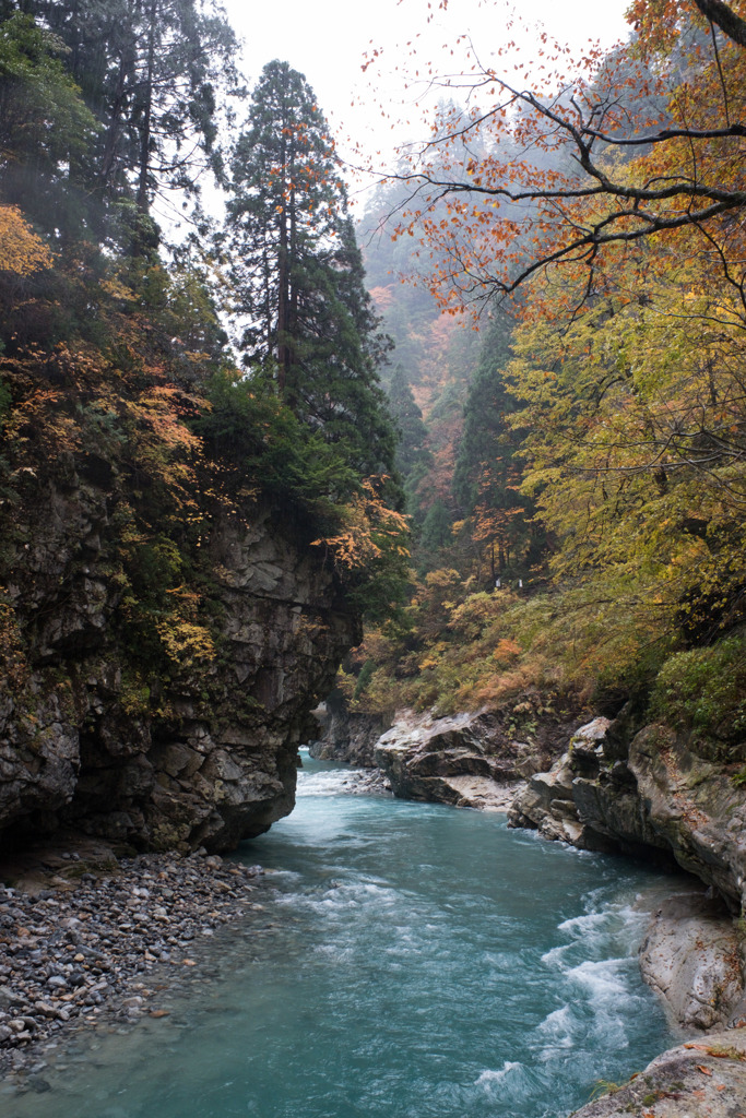 峡谷の秋　その壱