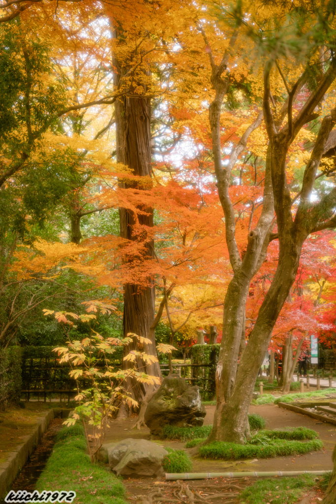 2019年12月：平林寺１