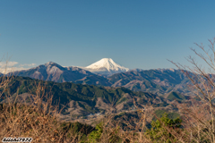 高尾山山頂から見た富士山