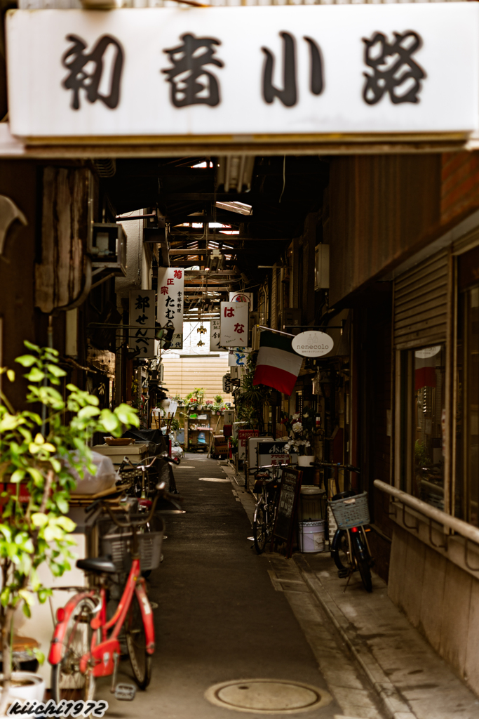谷中 2020年2月　その２