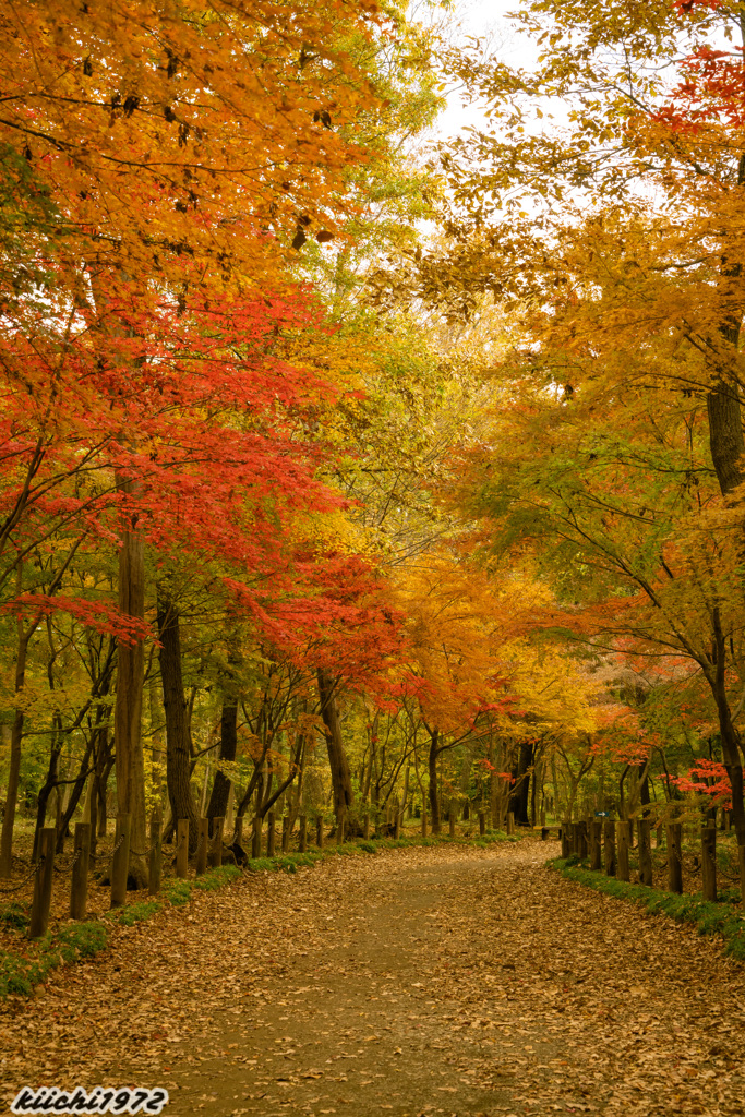 2019年12月：平林寺６