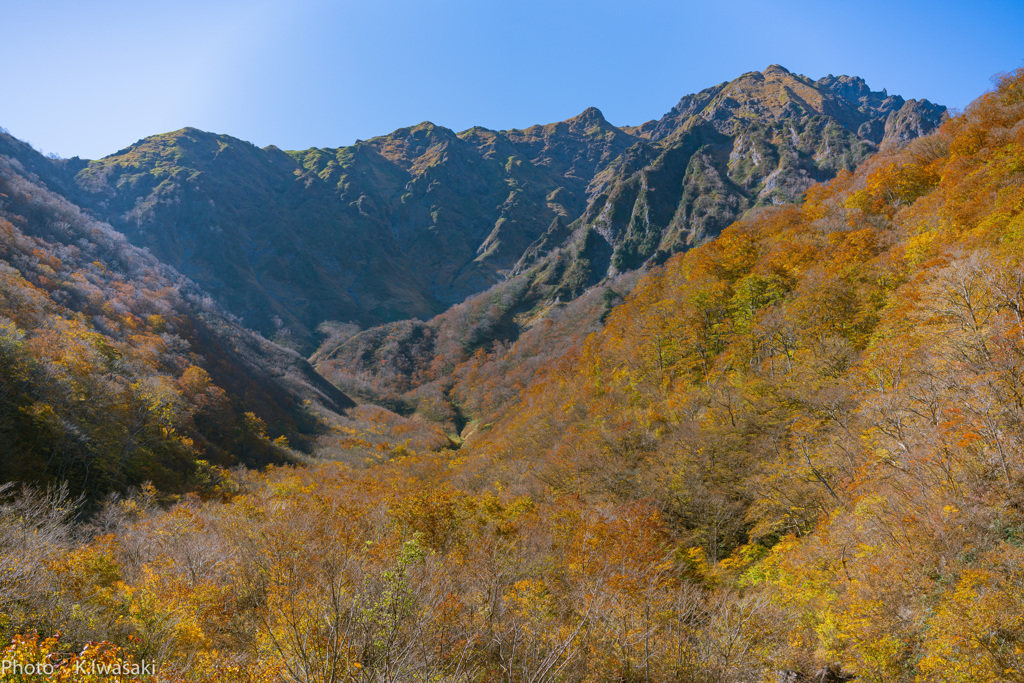 マチガ沢付近の紅葉