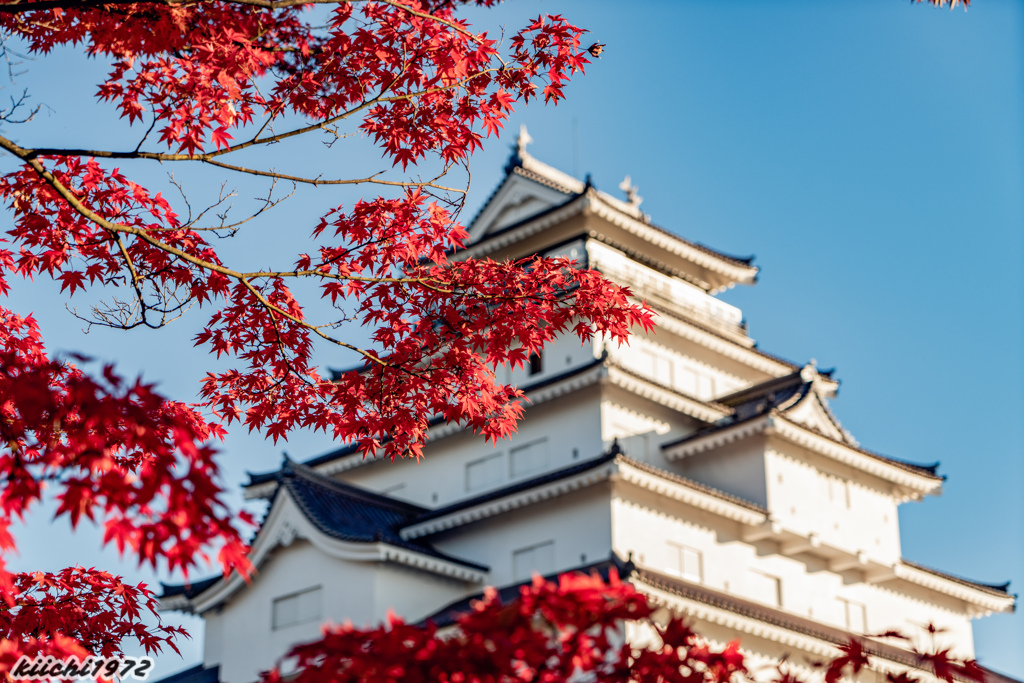 秋の鶴ヶ城