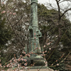 松月院の梅（2020年3月）